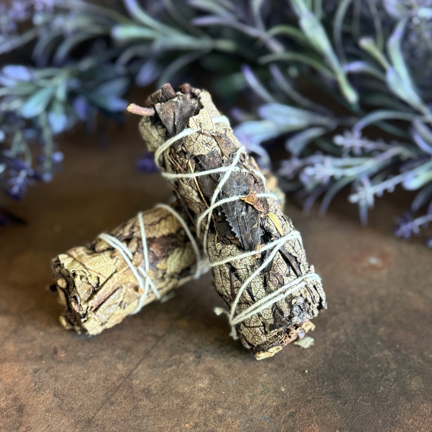 Black Sage Smudge Stick 10cm for psychic protection, dreamwork, energy cleansing, intuition and spiritual healing.