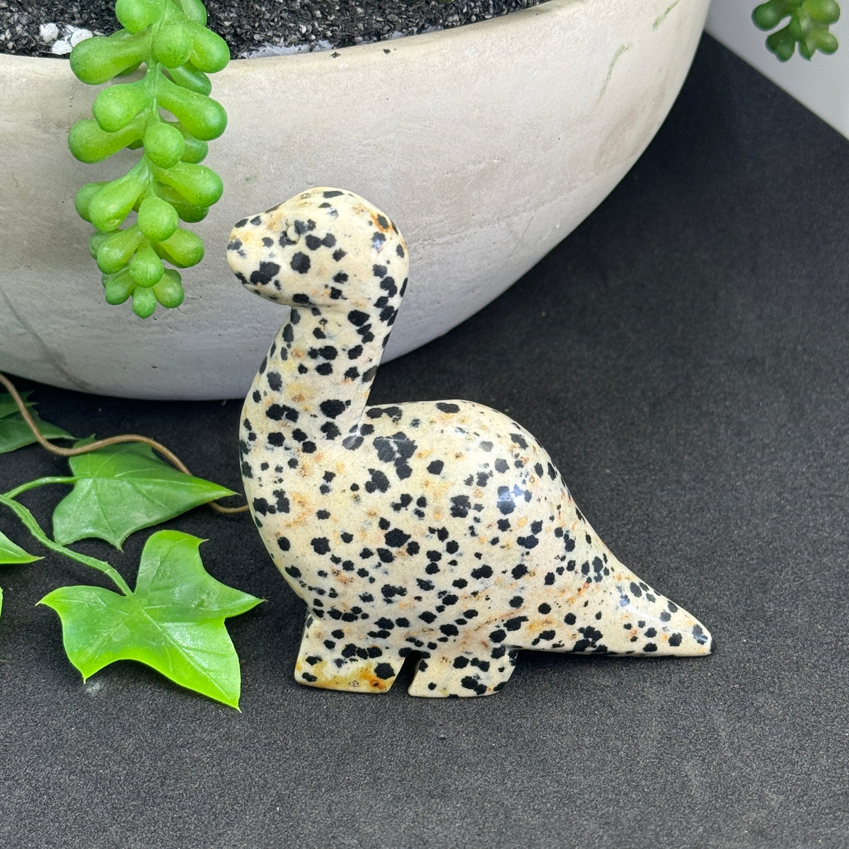 Dalmatian Jasper crystal dinosaur carving approximately 8cm