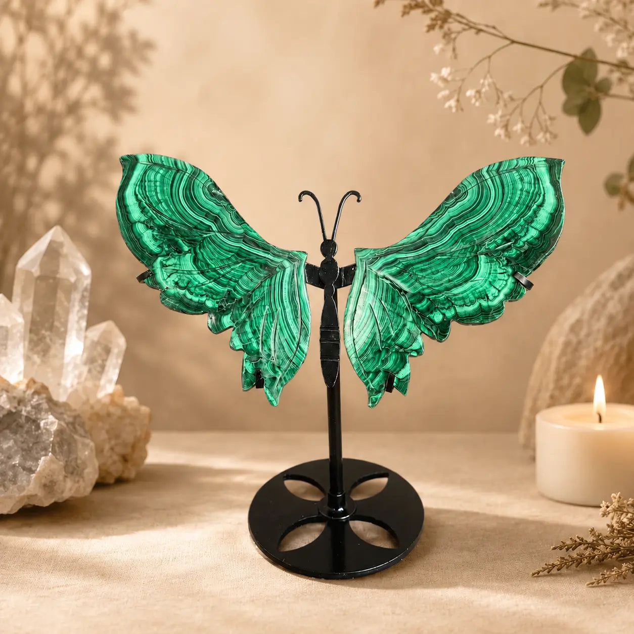 Malachite Butterfly Wings on Stand