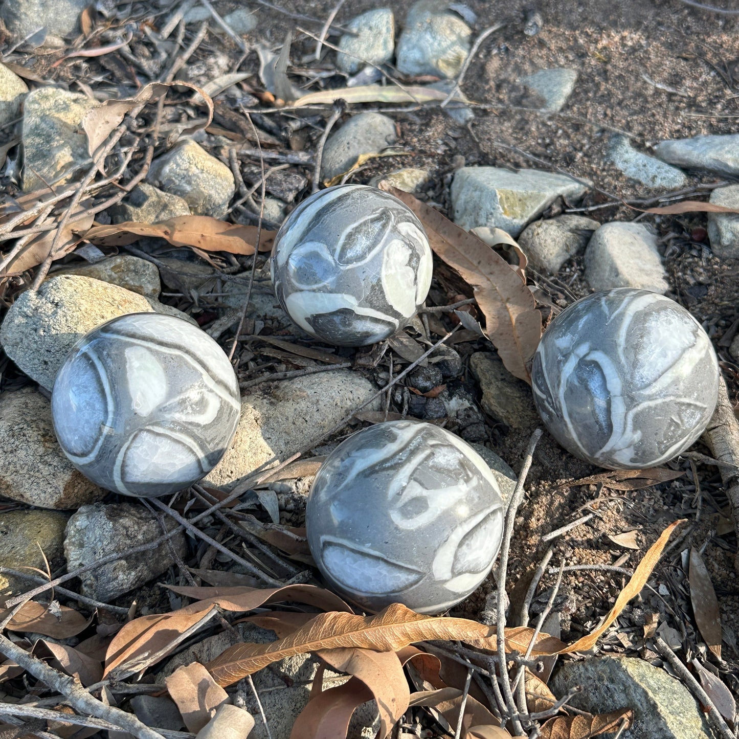 Thousand Eyes Jasper Crystal Sphere for protection, grounding, emotional healing, clarity, and balance