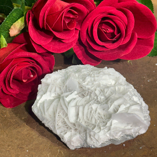 534g white Rose Petal Calcite specimen with densely layered petal-like crystal blades in a large domed formation beside red roses