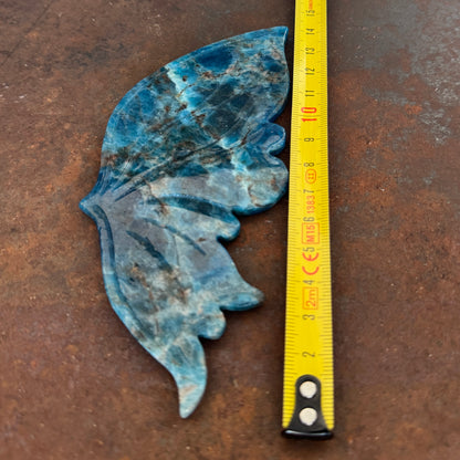 Blue Apatite Crystal Wings on Butterfly Stand (Medium) | Crystal Wings Australia – Spiritual Healing & Renewal