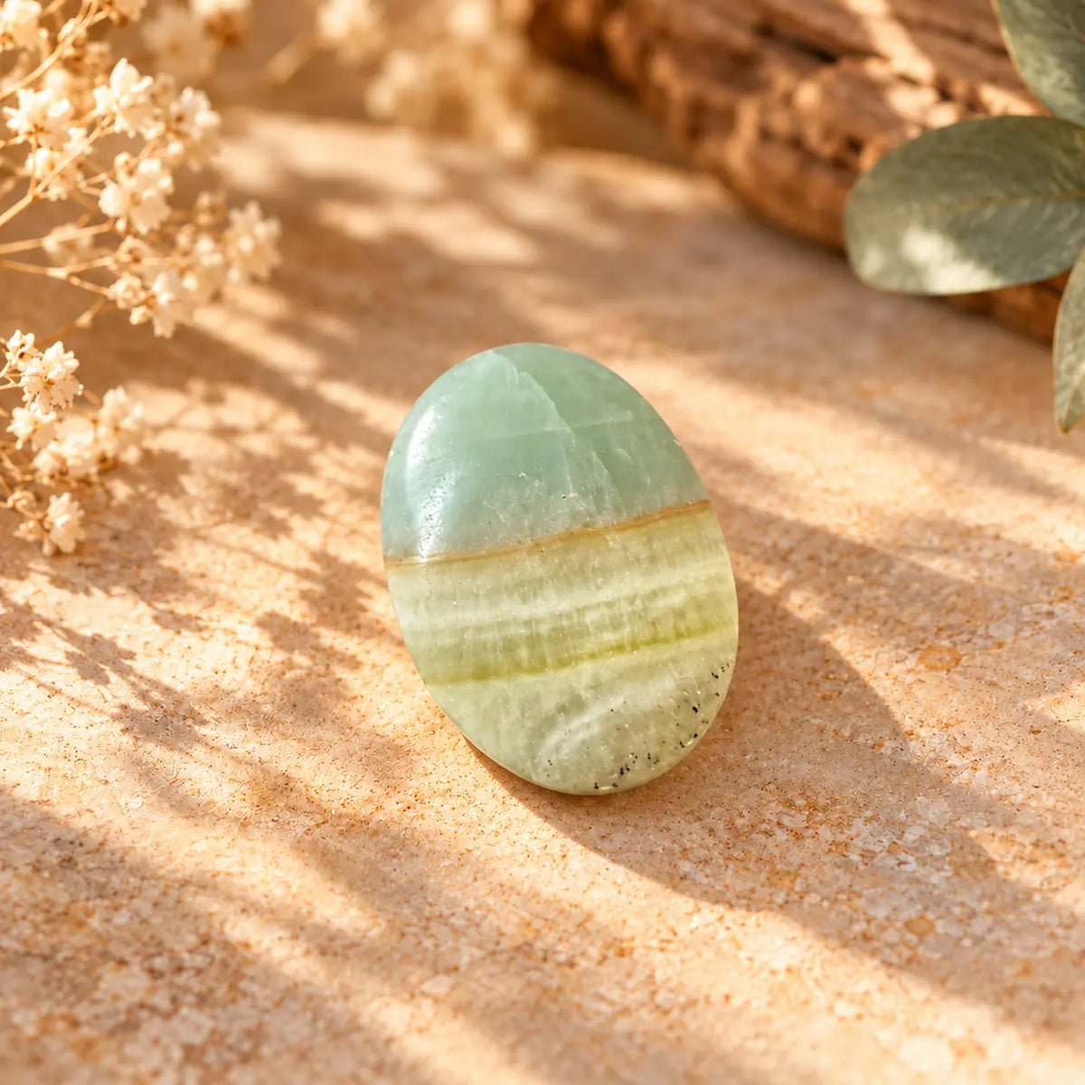Caribbean Calcite Palm Stone – Calm, Clarity & Inner Peace