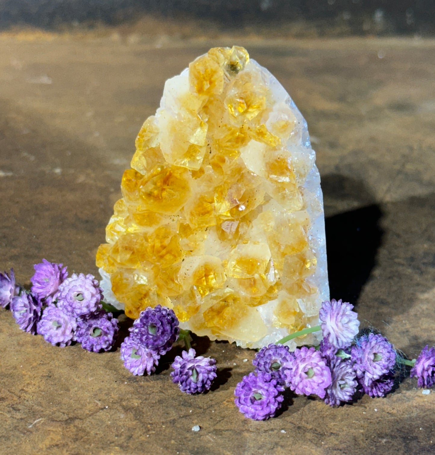 A natural formation of Citrine crystals with a geode structure, surrounded by purple flowers on a wooden surface.