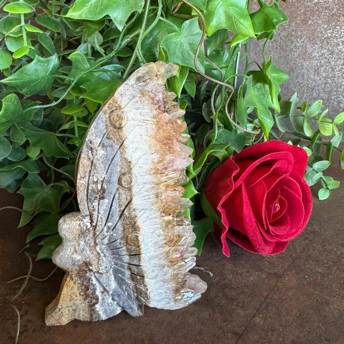 Citrine and quartz fairy geode carving 136g with sandy warm-toned body, engraved wing detail and amber crystal cluster edge, styled with ivy and red rose
