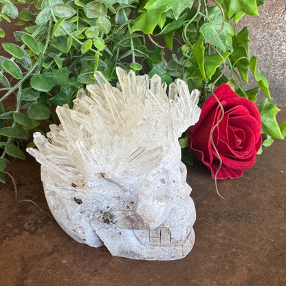 Clear Quartz Cluster Skull 714g crystal carving with natural points for clarity, energy amplification, spiritual healing, and protection