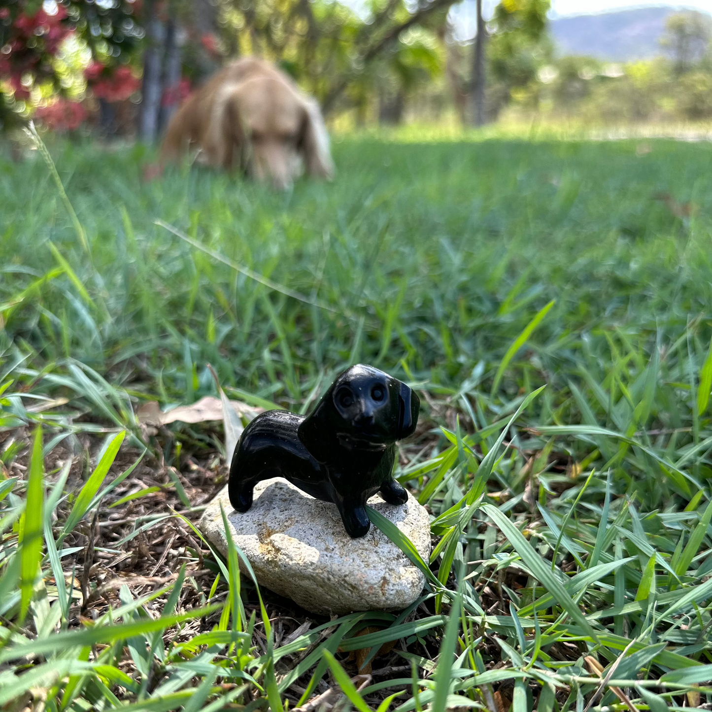 Crystal Dachshund Carving – Sausage Dog Crystal for Emotional Healing, Protection & High-Vibration Energy