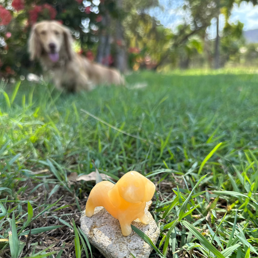 A crystal carving shaped like a Dachshund lying on grass with a dog in the background.