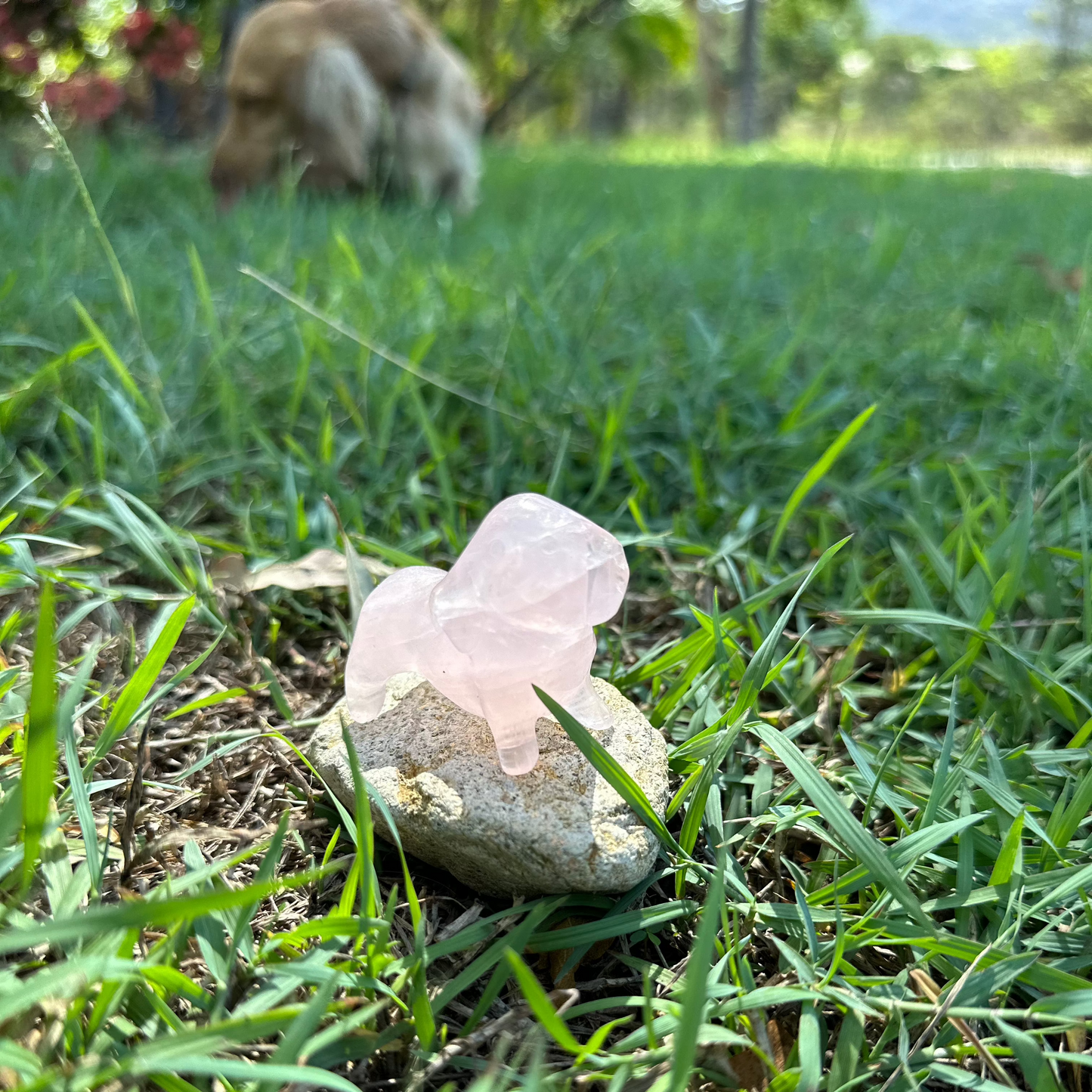 Crystal Dachshund Carving – Sausage Dog Crystal for Emotional Healing, Protection & High-Vibration Energy