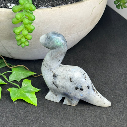 Crystal Dinosaur Carvings – Grounding, Protection & Spiritual Healing