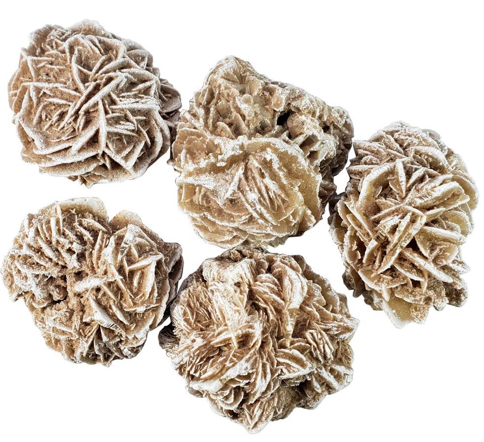 Desert Rose  6-7.5cm