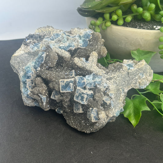 A natural Fluorite and Sphalerite crystal specimen with sparkling druzy crystals, displayed on a flat surface with green leaves in the background.