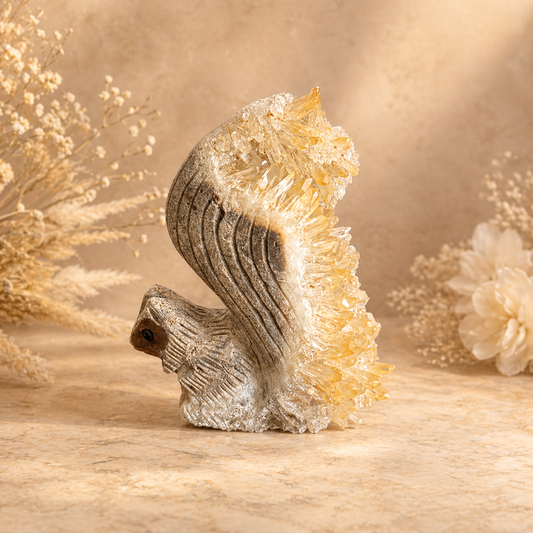 Squirrel geode crystal carving with golden crystal point cluster tail displayed with dried flowers and pampas grass
