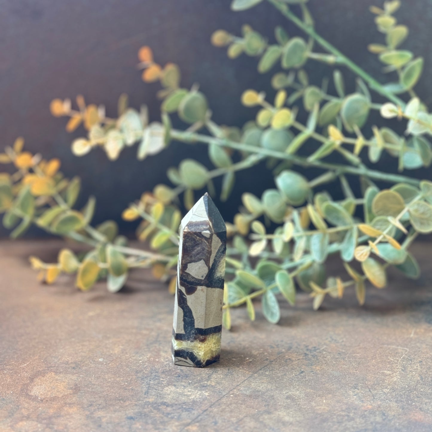 Septarian Crystal Tower (Dragon Stone) – Grounding, Protection & Emotional Healing