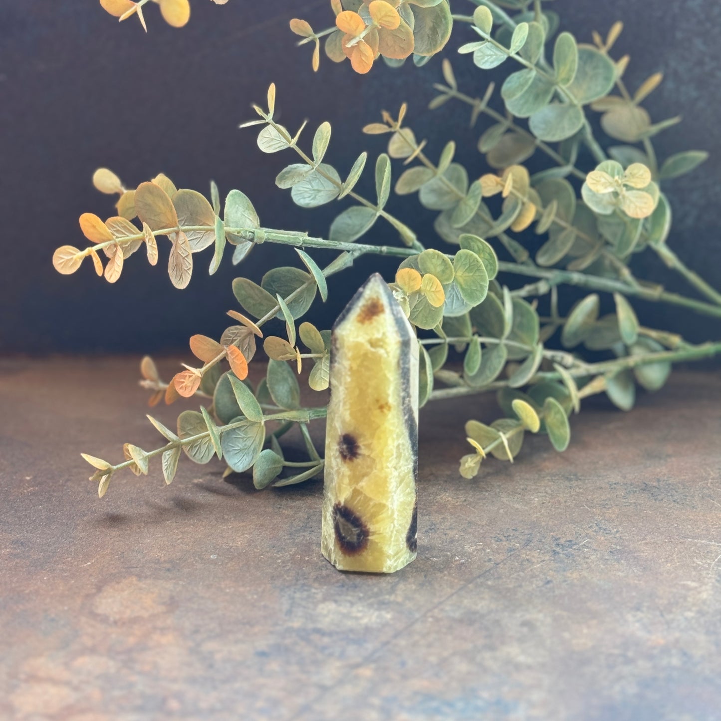 Septarian Crystal Tower (Dragon Stone) – Grounding, Protection & Emotional Healing