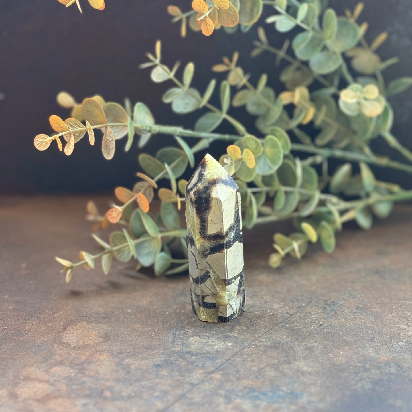 Septarian Crystal Tower (Dragon Stone) – Grounding, Protection & Emotional Healing