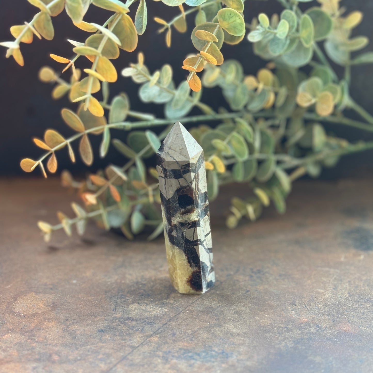 Septarian Crystal Tower (Dragon Stone) – Grounding, Protection & Emotional Healing