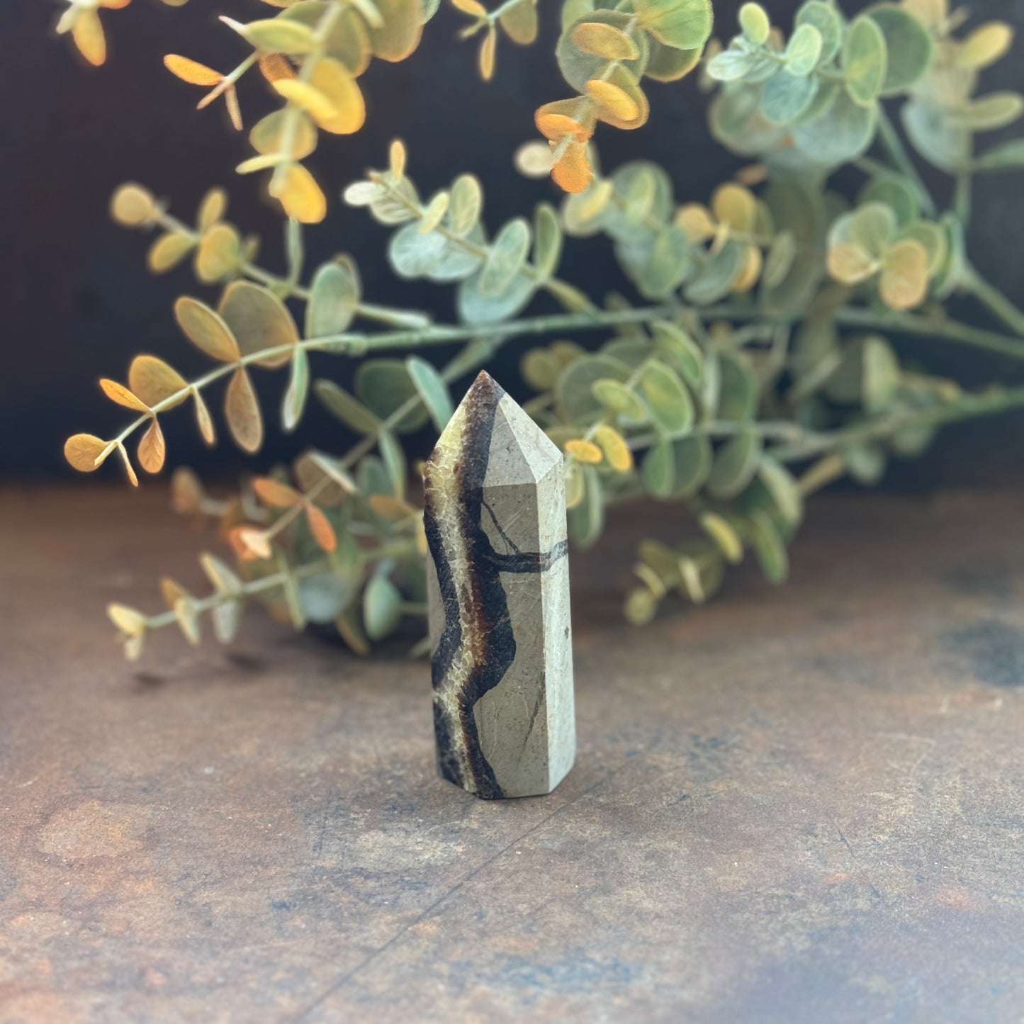 Septarian Crystal Tower (Dragon Stone) – Grounding, Protection & Emotional Healing