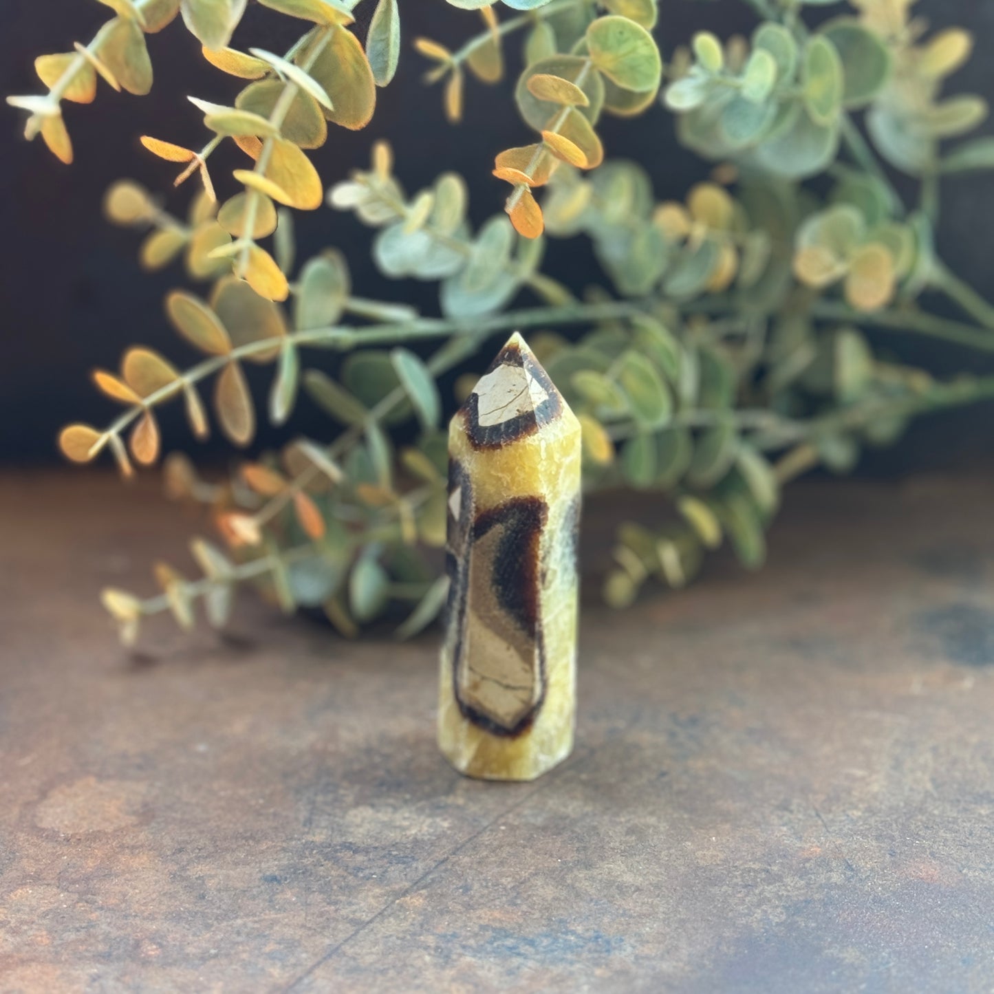 Septarian Crystal Tower (Dragon Stone) – Grounding, Protection & Emotional Healing