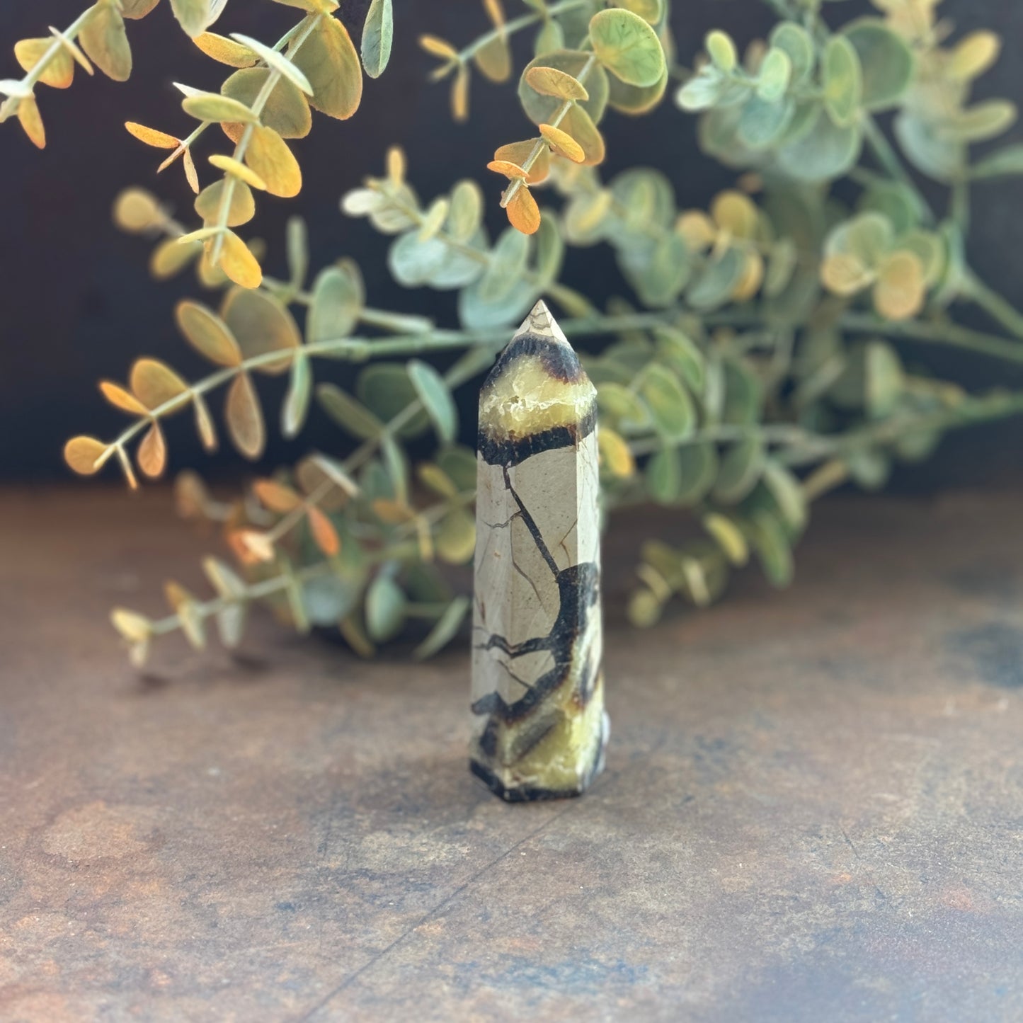 Septarian Crystal Tower (Dragon Stone) – Grounding, Protection & Emotional Healing