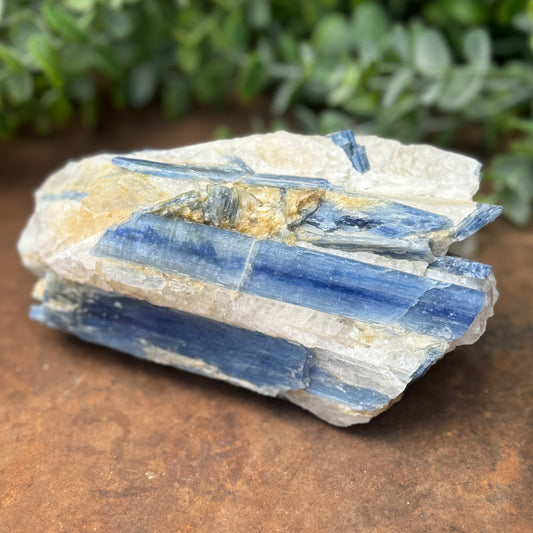 Kyanite Crystal Specimen - Spiritual Healing, Protection & Clarity