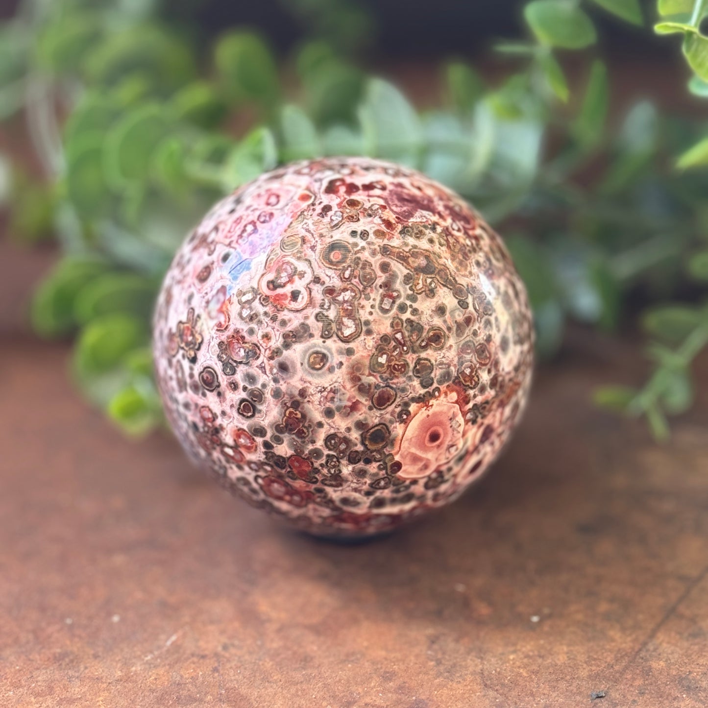 Leopard Print Jasper Crystal Sphere – Grounding, Protection & Emotional Healing