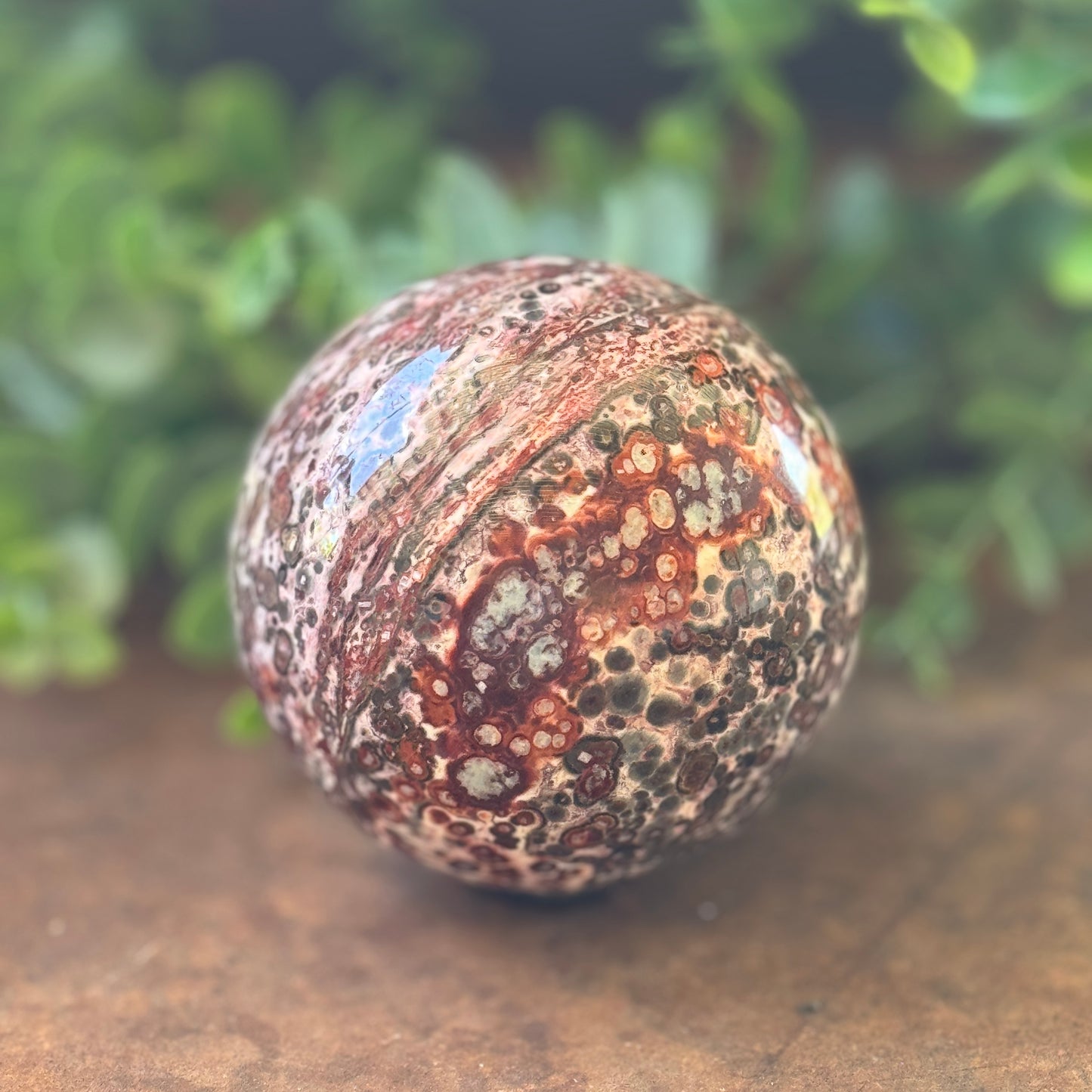 Leopard Print Jasper Crystal Sphere – Grounding, Protection & Emotional Healing