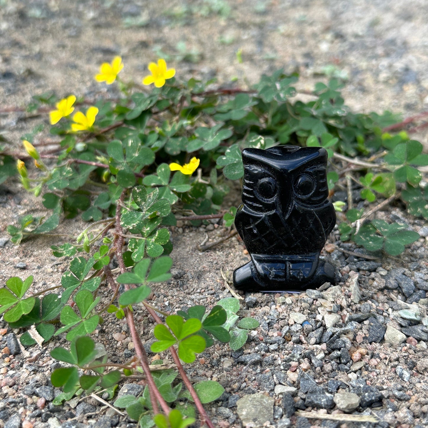 Owl Crystal Carving 5cm – Wisdom, Protection & Spiritual Awakening