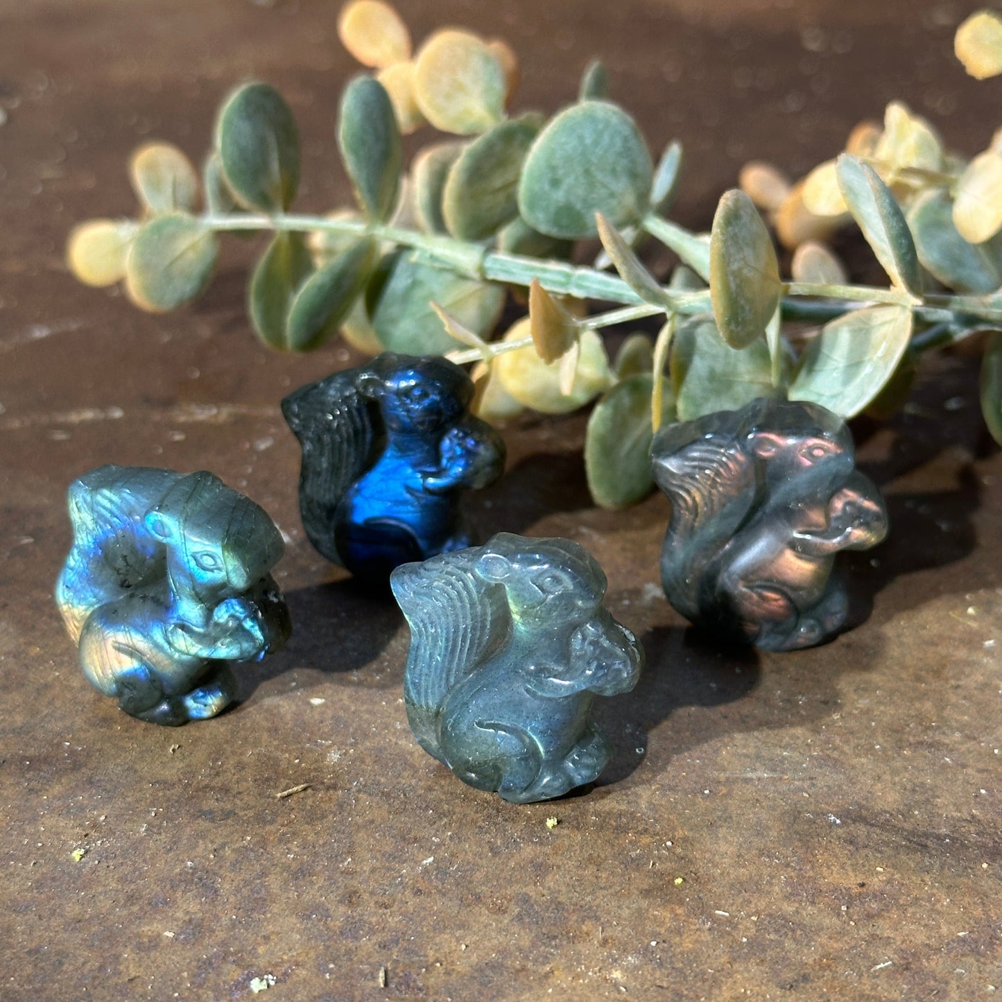 Labradorite Squirrel Crystal Carving – Intuition, Protection & Resourcefulness Australia