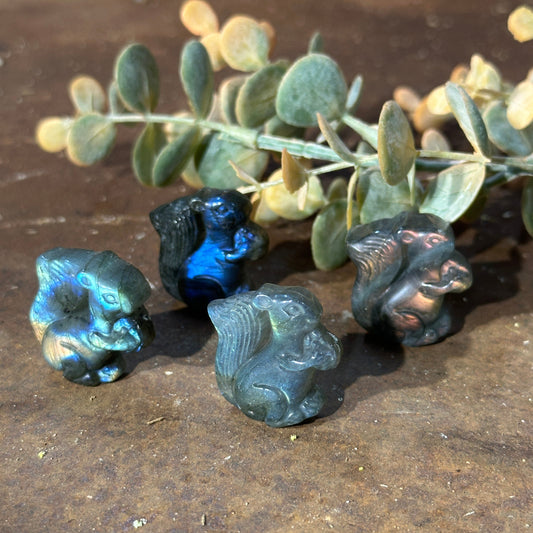 Labradorite Squirrel Crystal Carving – Intuition, Protection & Resourcefulness Australia