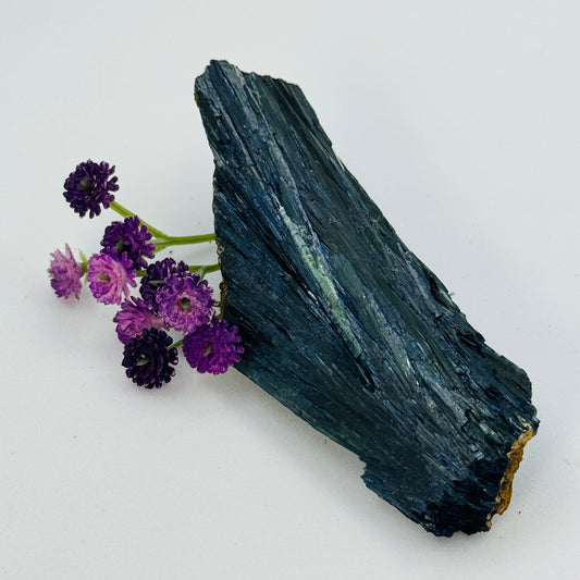 Vivianite Specimen – Emotional Healing, Transformation & Spiritual Renewal