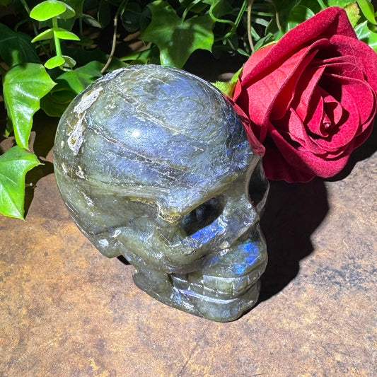 Labradorite Crystal Skull – Stone Skull for Spiritual Protection, Transformation & Intuition (451g
