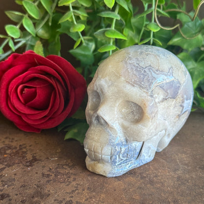 Blue Flower Agate Crystal Skull – Emotional Healing, Calm Energy & Spiritual Growth