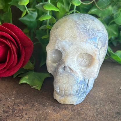 Blue Flower Agate Crystal Skull – Emotional Healing, Calm Energy & Spiritual Growth