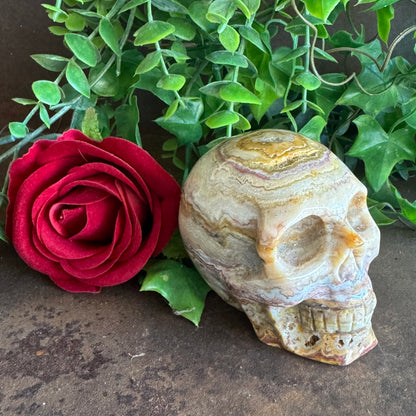Crazy Agate Crystal Skull – Healing, Stability & Protection (400g)