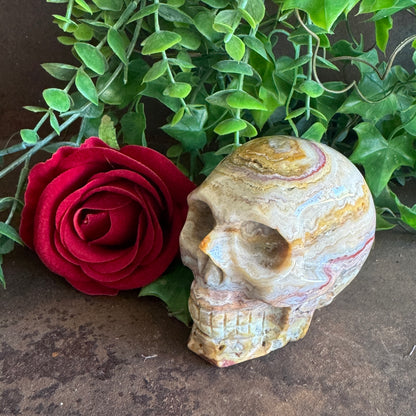 Crazy Agate Crystal Skull – Healing, Stability & Protection (400g)