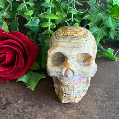 Crazy Agate Crystal Skull – Healing, Stability & Protection (400g)
