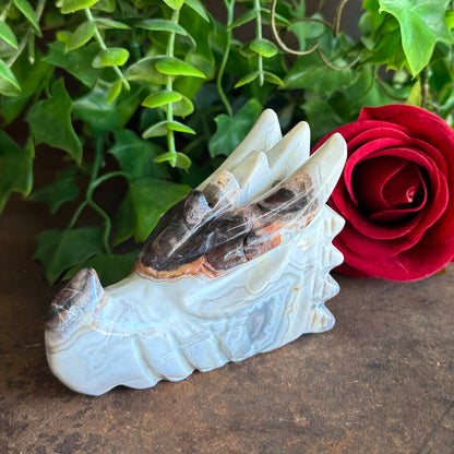 Mexican Agate Dragon Carving – Spiritual Protection, Grounding & Inner Strength