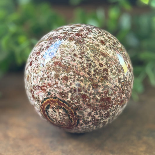 Leopard Print Jasper Crystal Sphere for grounding, spiritual protection, emotional healing, creative inspiration and Root Chakra balance