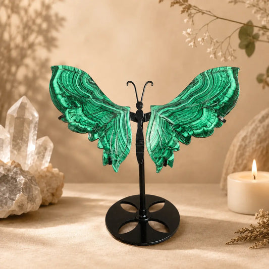 Malachite Butterfly Wings on Stand