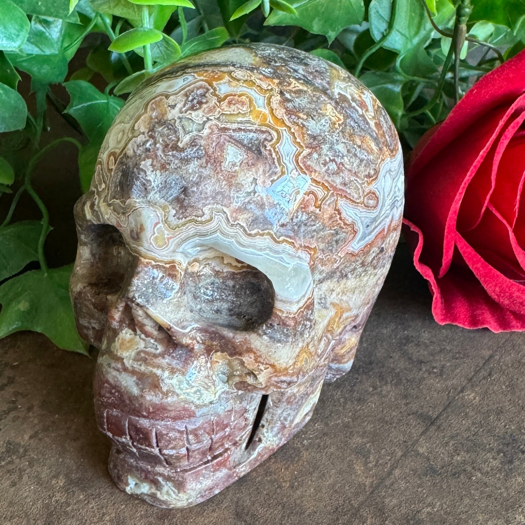 Mexican Agate Skull 540g crystal carving for grounding, emotional healing, protection, intuition and spiritual transformation.