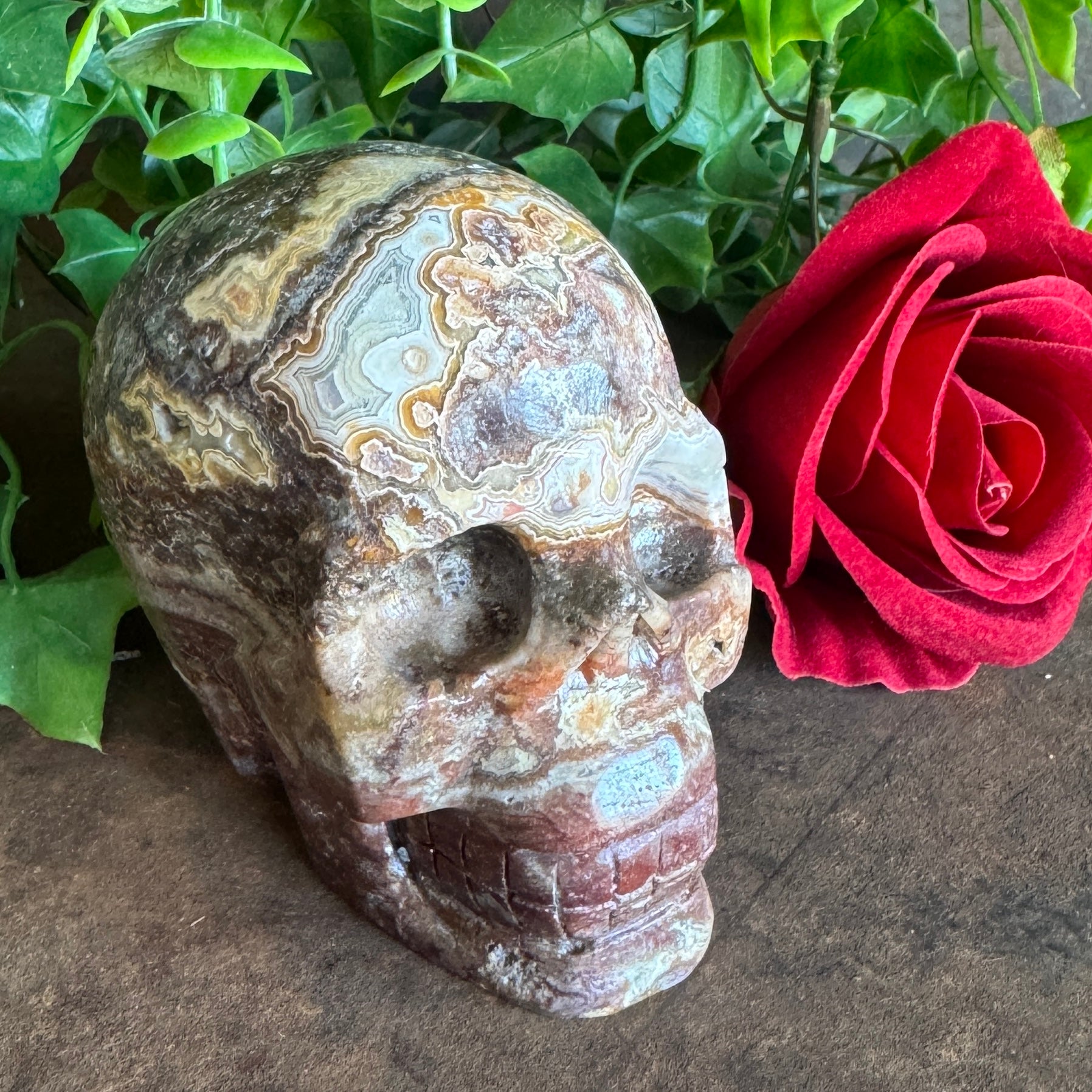 Mexican Agate Skull 540g crystal carving for grounding, emotional healing, protection, intuition and spiritual transformation.