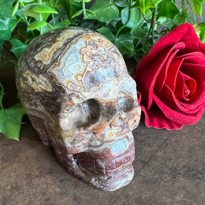 Mexican Agate Skull 540g crystal carving for grounding, emotional healing, protection, intuition and spiritual transformation.