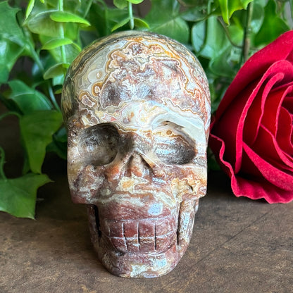 Mexican Agate Skull 540g crystal carving for grounding, emotional healing, protection, intuition and spiritual transformation.