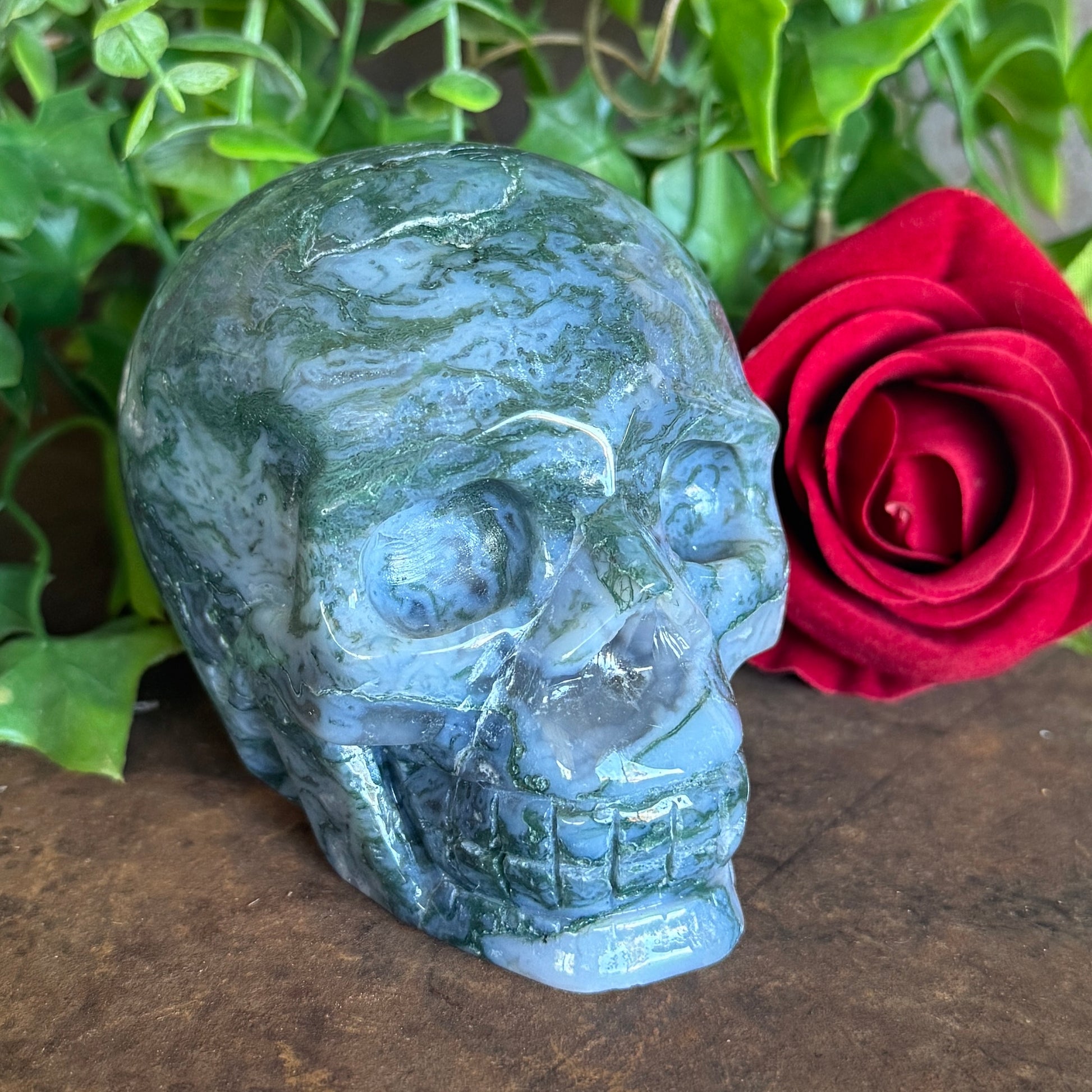 One-of-a-kind Blue Moss Agate Skull 755g carved from natural dendritic agate for emotional healing, grounding, clarity, abundance, meditation, and sacred décor