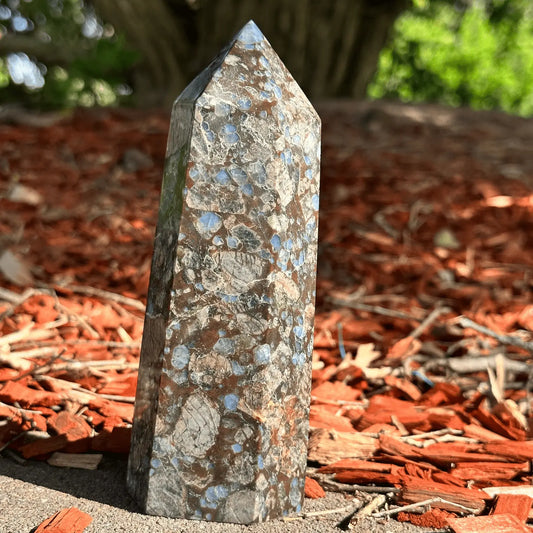 Que Sera Crystal Point 602g 150mm tower for acceptance clarity grounding protection and spiritual growth