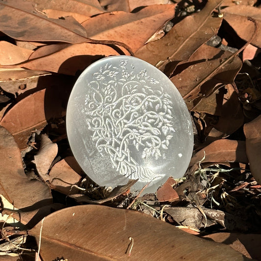 selenite palm stone australia tree engraved crystal healing peace clarity energy cleansing