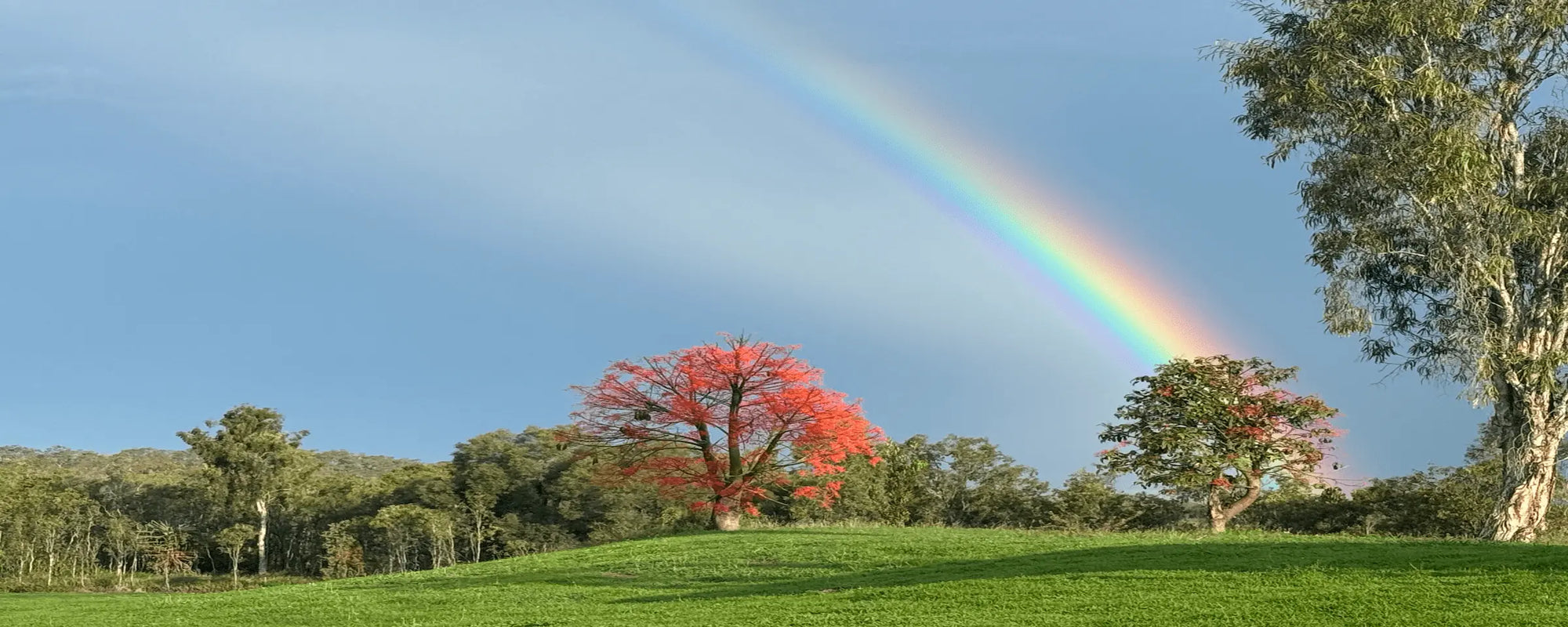 Stunning view at  HQ Spiritual Gifts Australia
