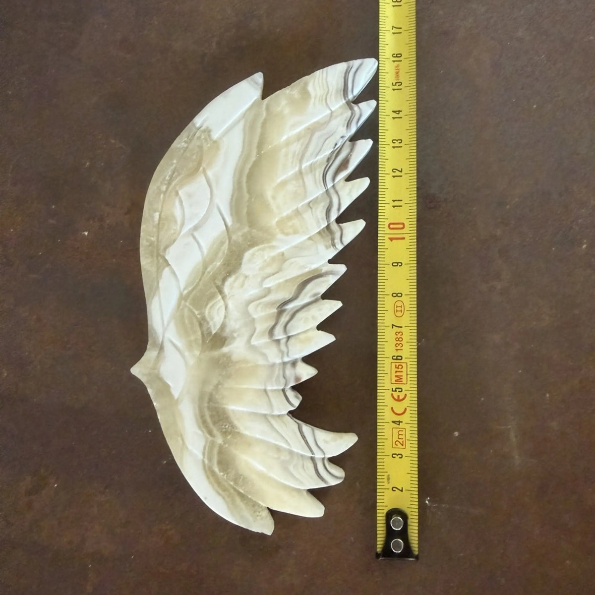 White and Orange Calcite crystal wings showing approximate size and measurements